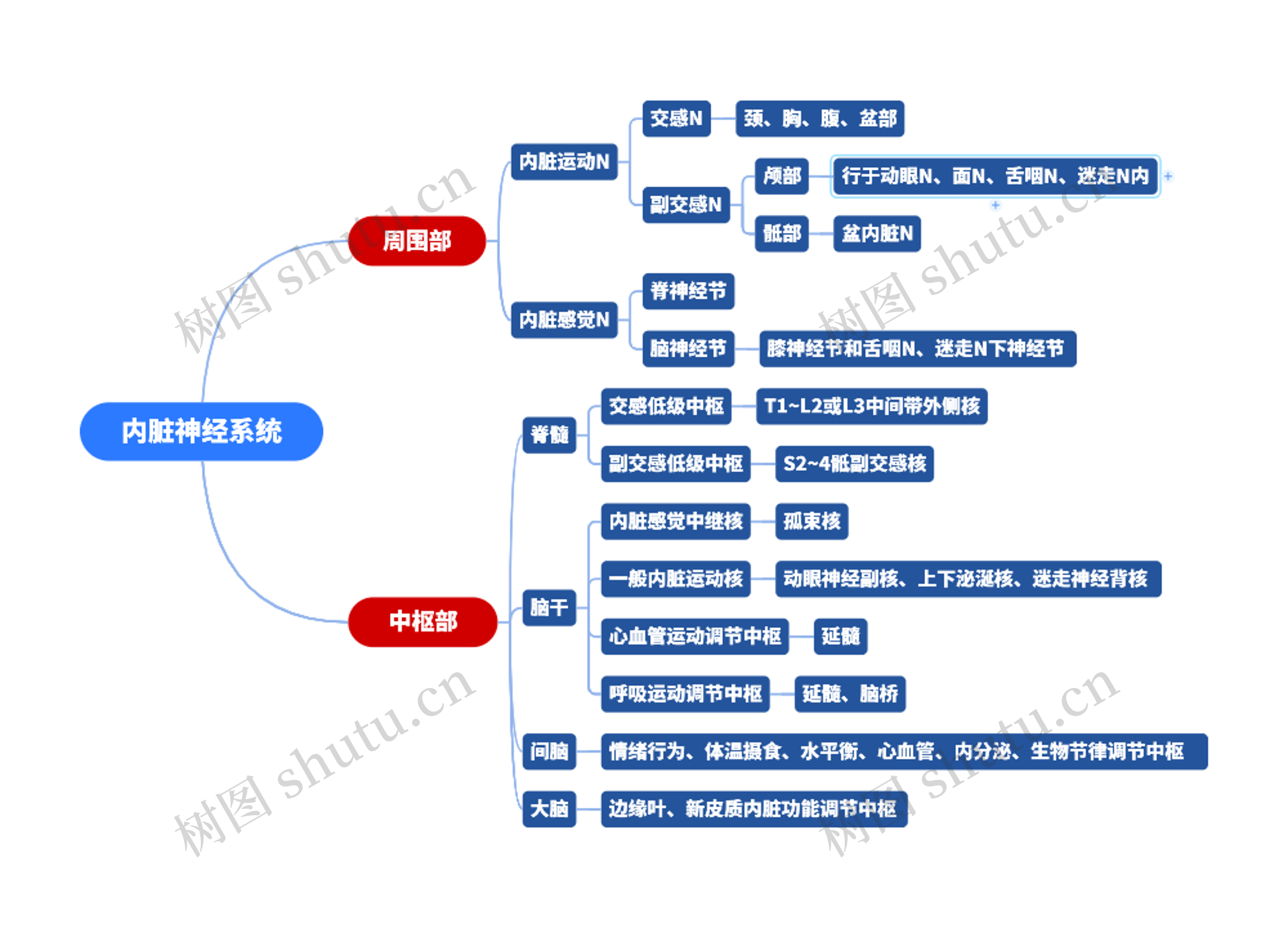 内脏神经系统