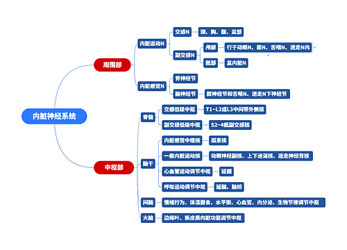 内脏神经系统