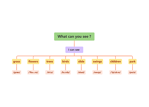 What can you see ?