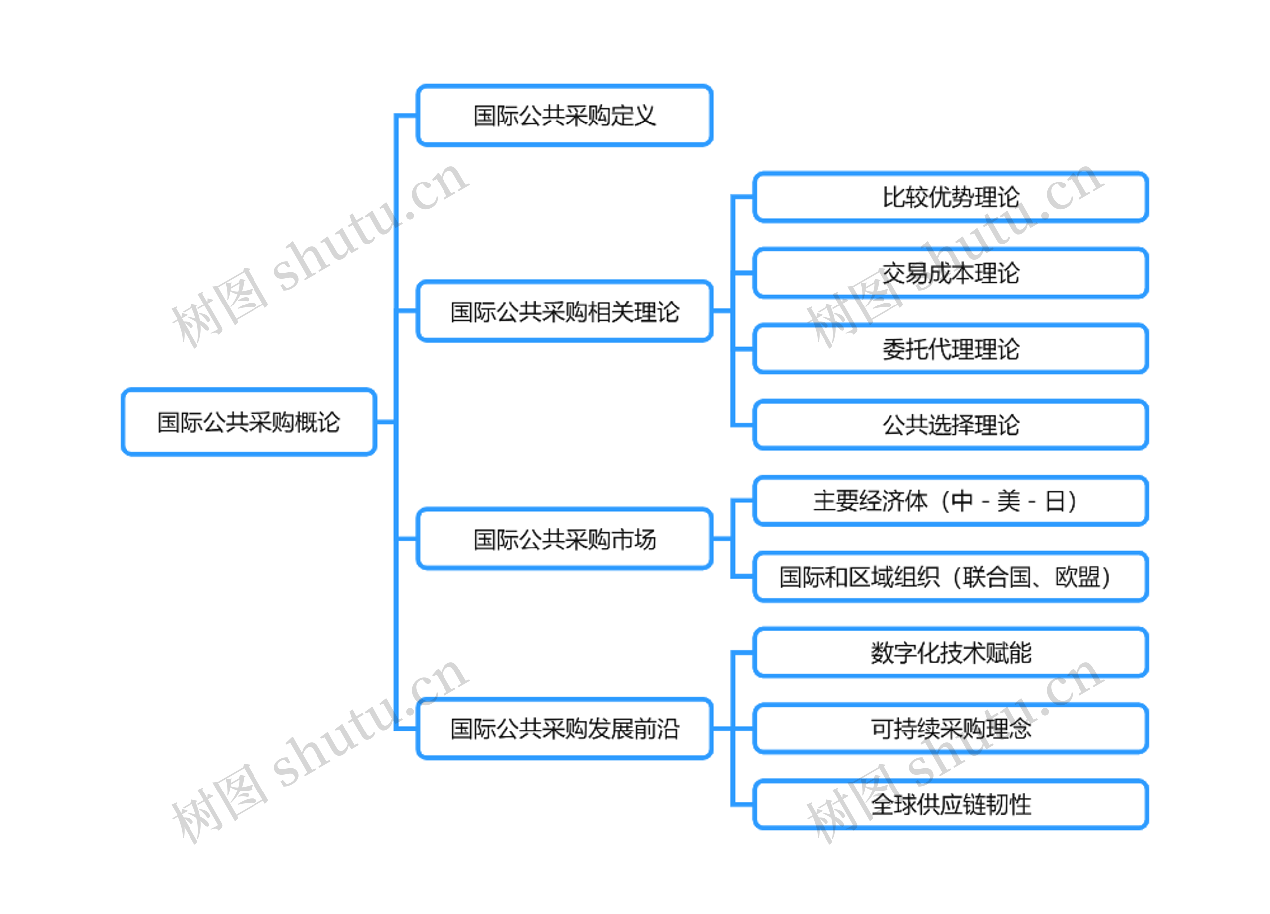 国际公共采购概论思维导图高清图 国际公共采购概论思维导图