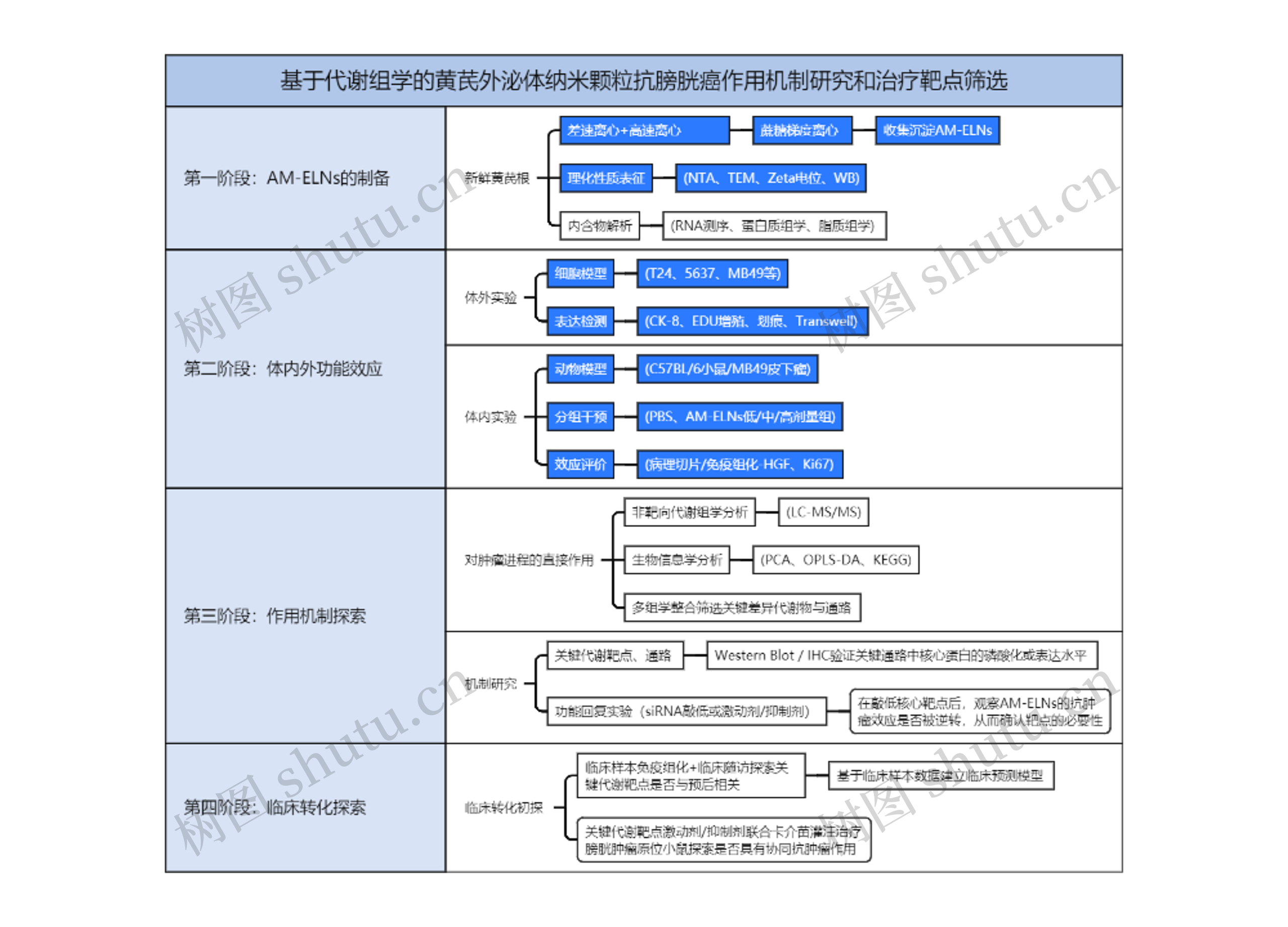 基于代谢组学的黄芪外泌体纳米颗粒抗膀胱癌作用机制研究和治疗靶点筛选