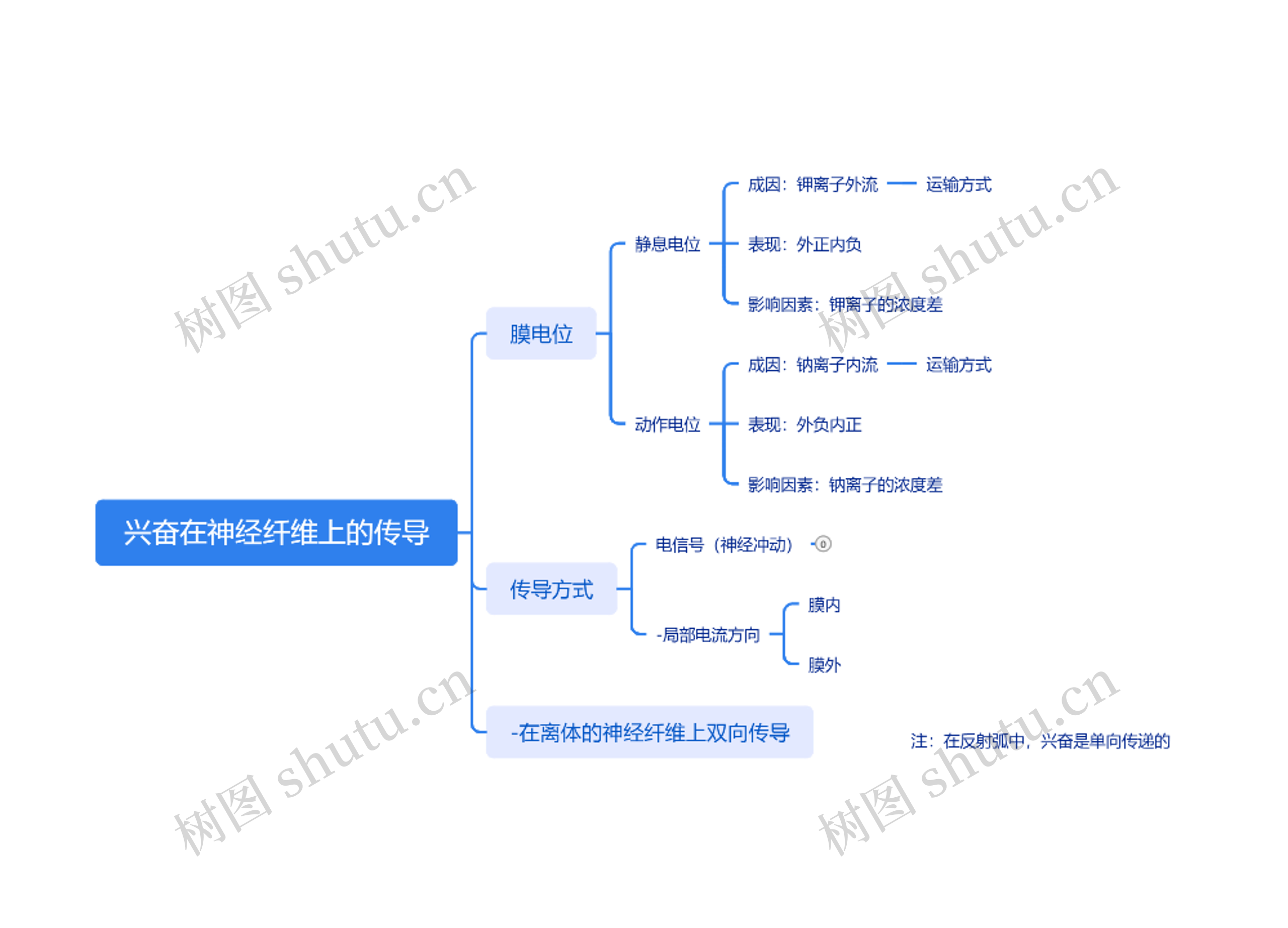 兴奋在神经纤维上的传导思维导图高清图 兴奋在神经纤维上的传导思维导图