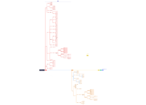 市场与品牌建设工作时间轴（2025年9月-2026年1月）