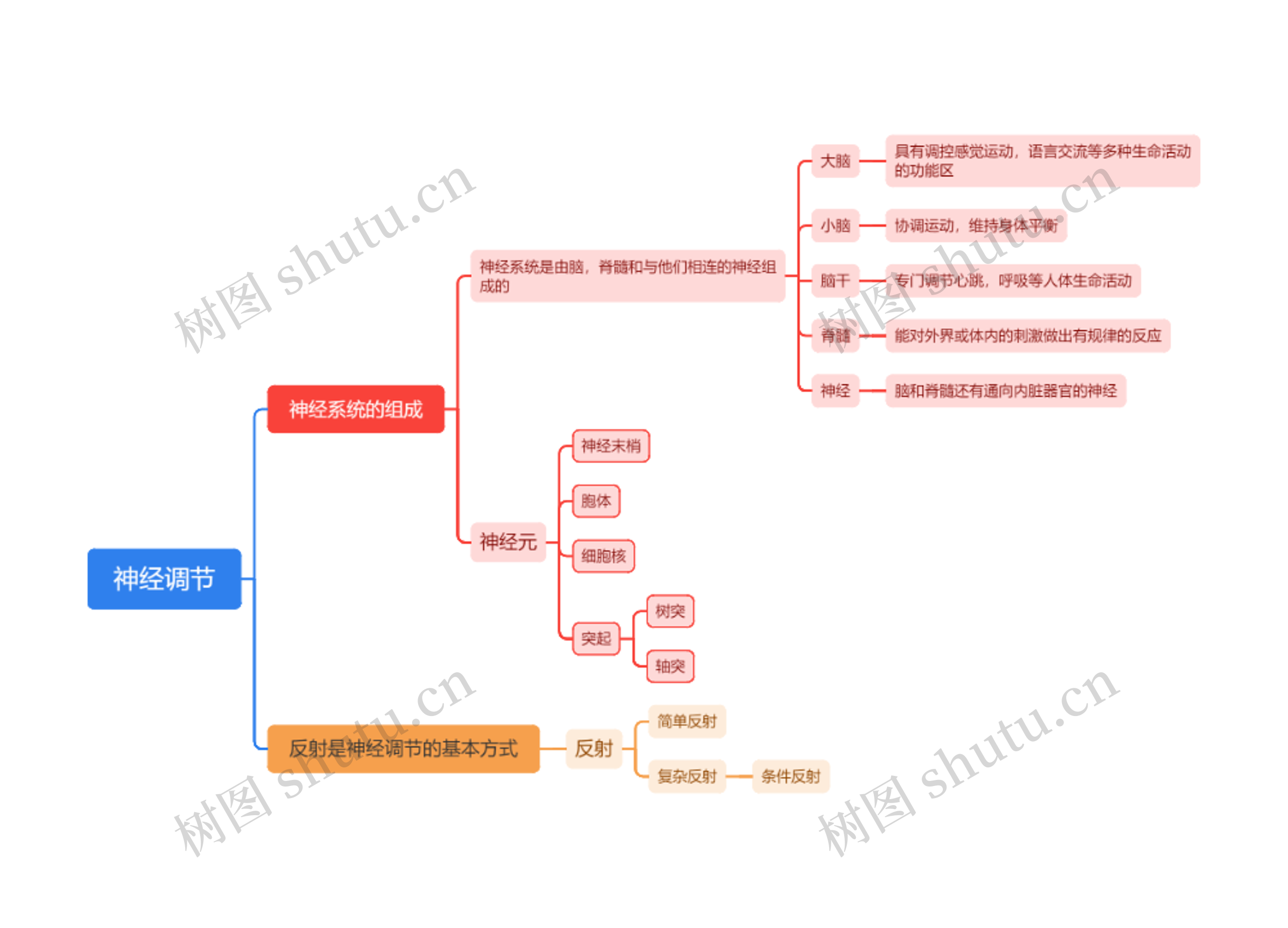 神经调节思维导图高清图 神经调节思维导图