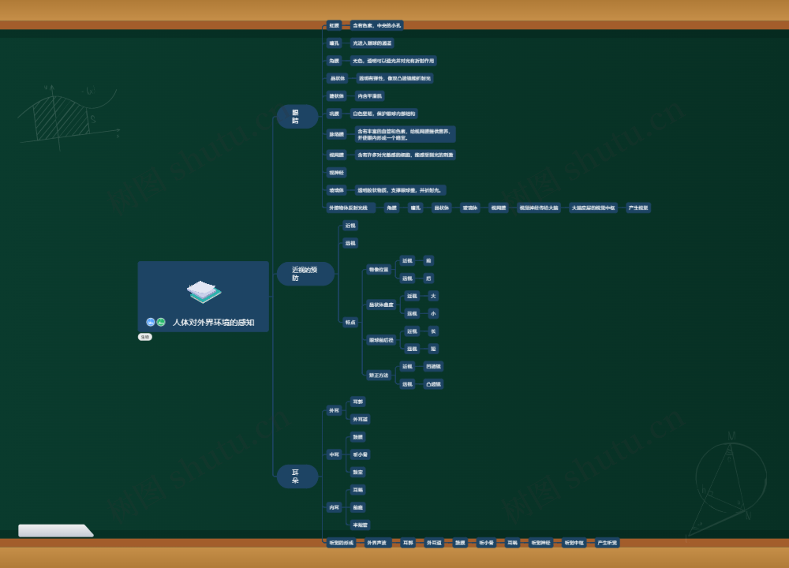 人体对外界环境的感知思维导图高清图 人体对外界环境的感知思维导图
