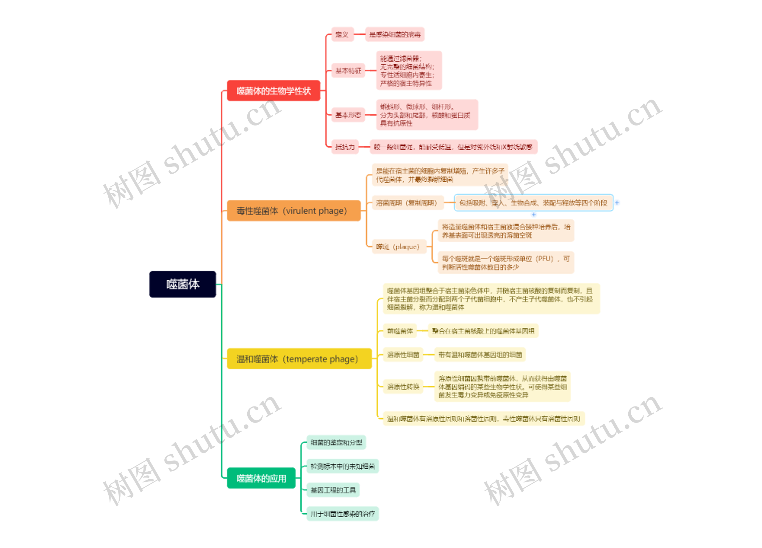 第四章：噬菌体