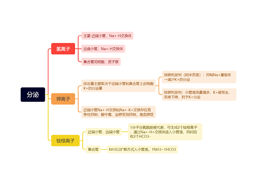 第八章：尿的生成与排出（作业2）
