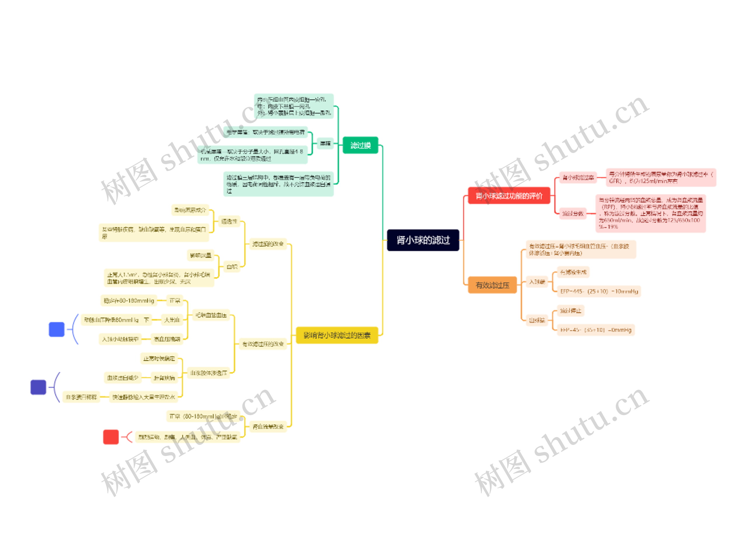 第八章：尿的生成和排出（作业）