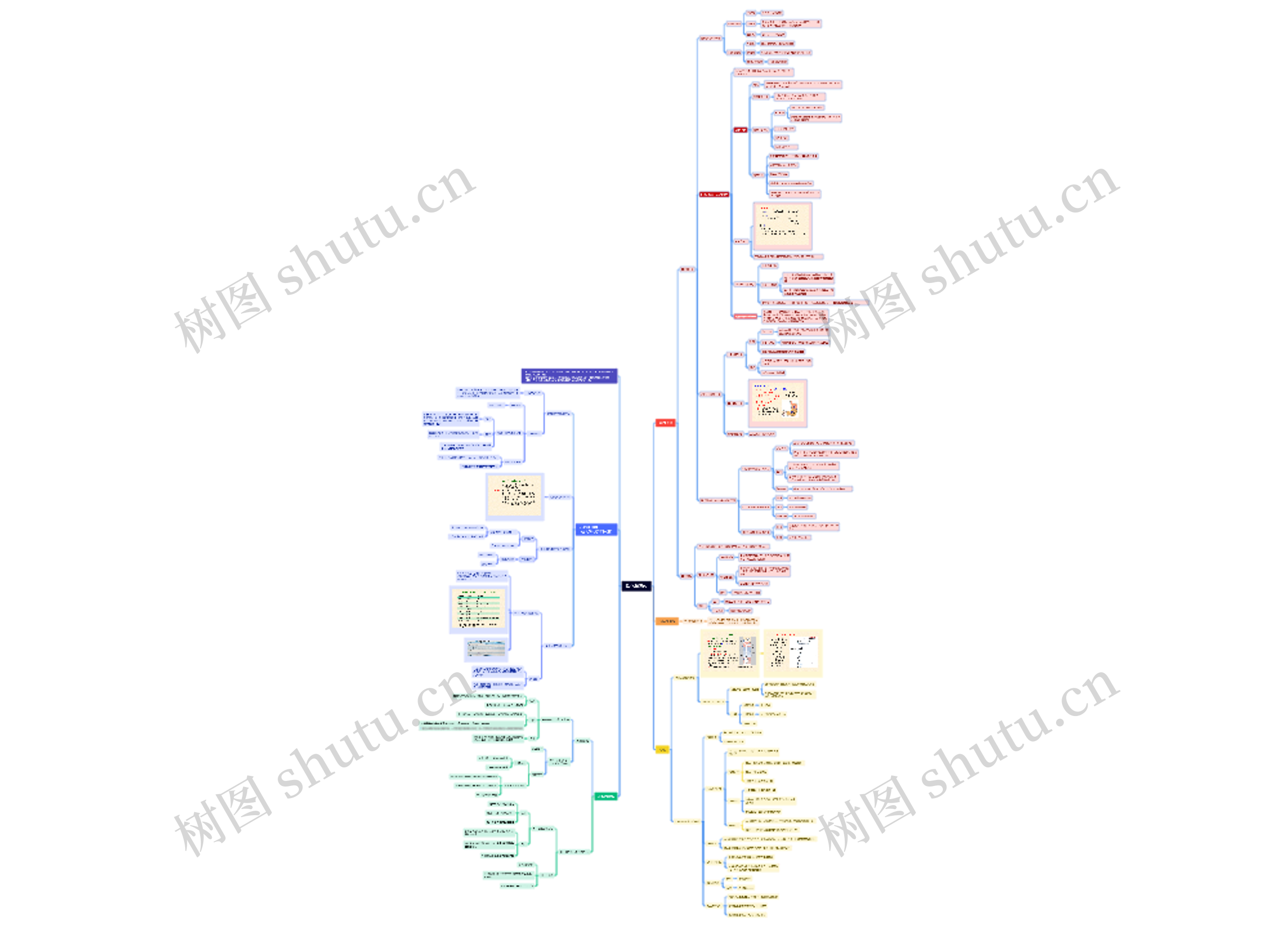 第六章 消化和吸收