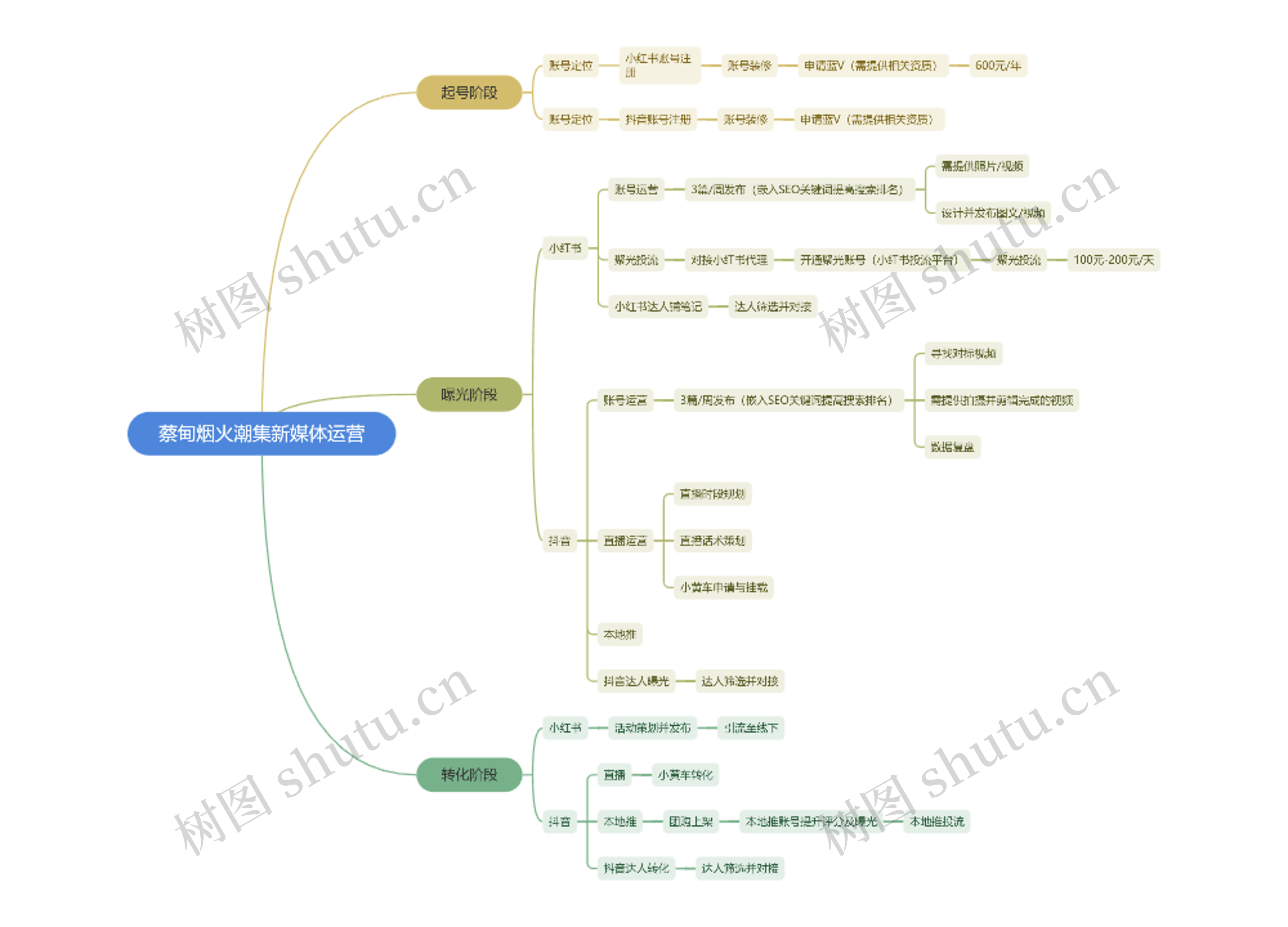 蔡甸烟火潮集新媒体运营