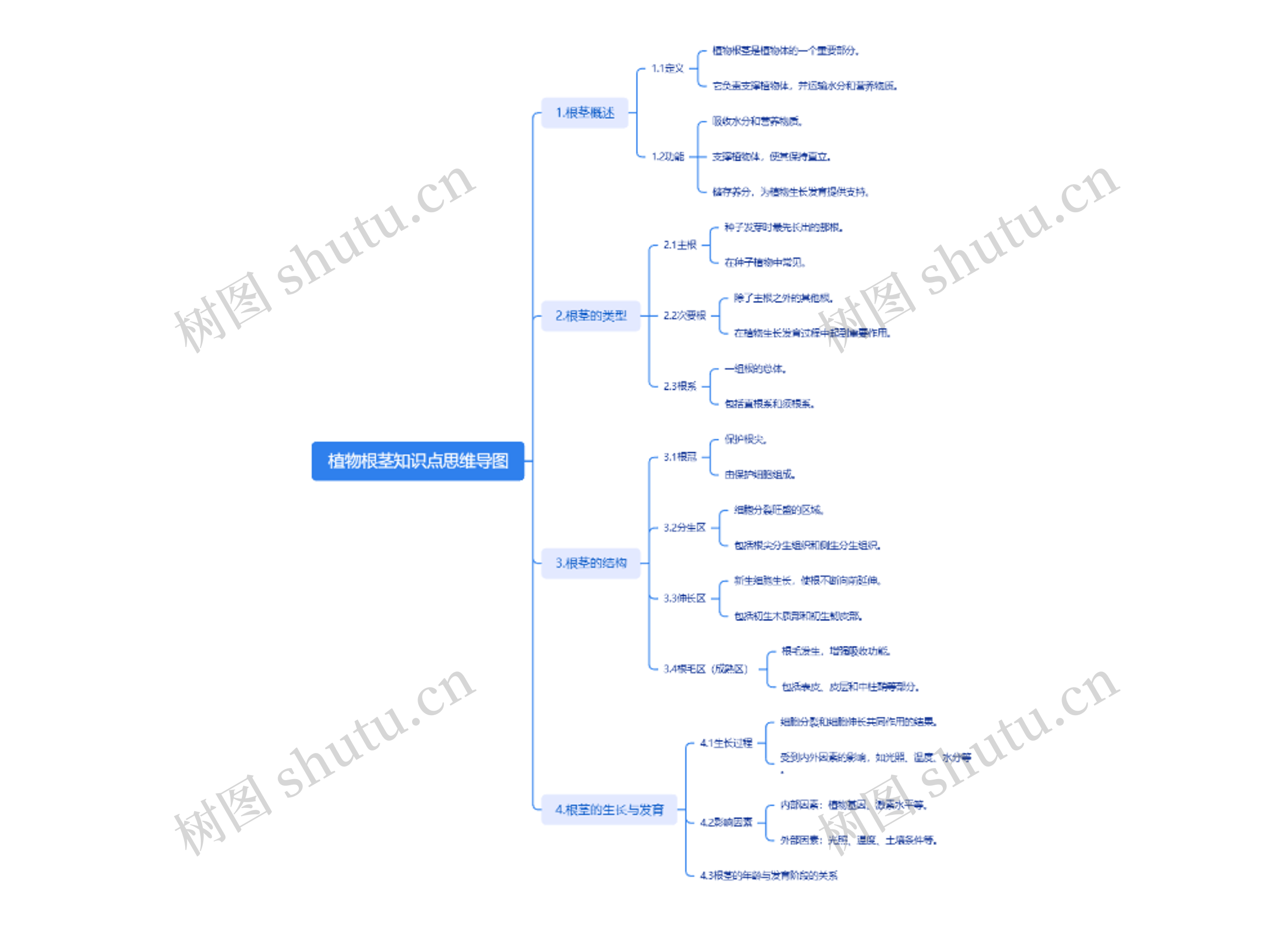 植物根茎知识点思维导图