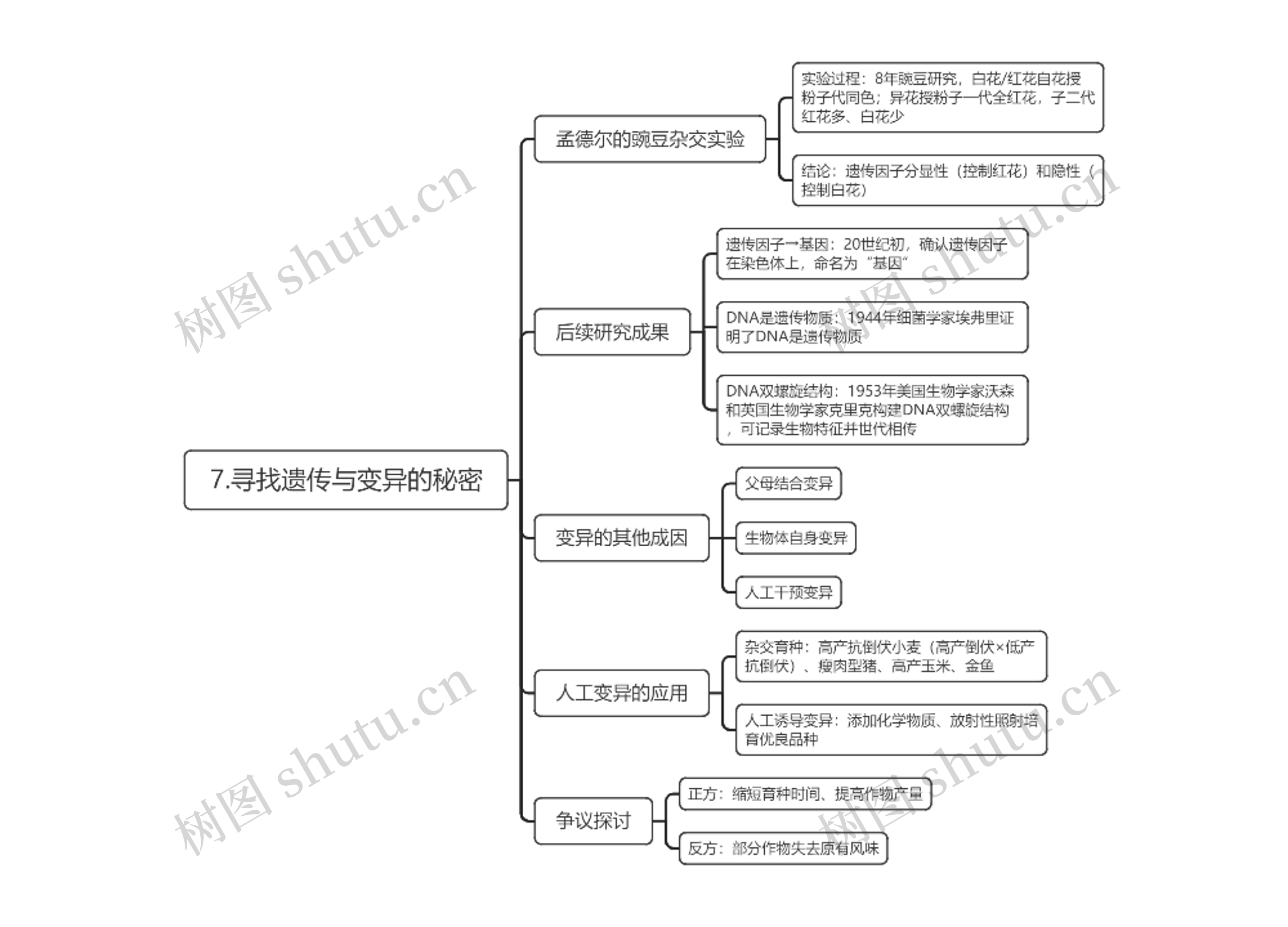7.寻找遗传与变异的秘密