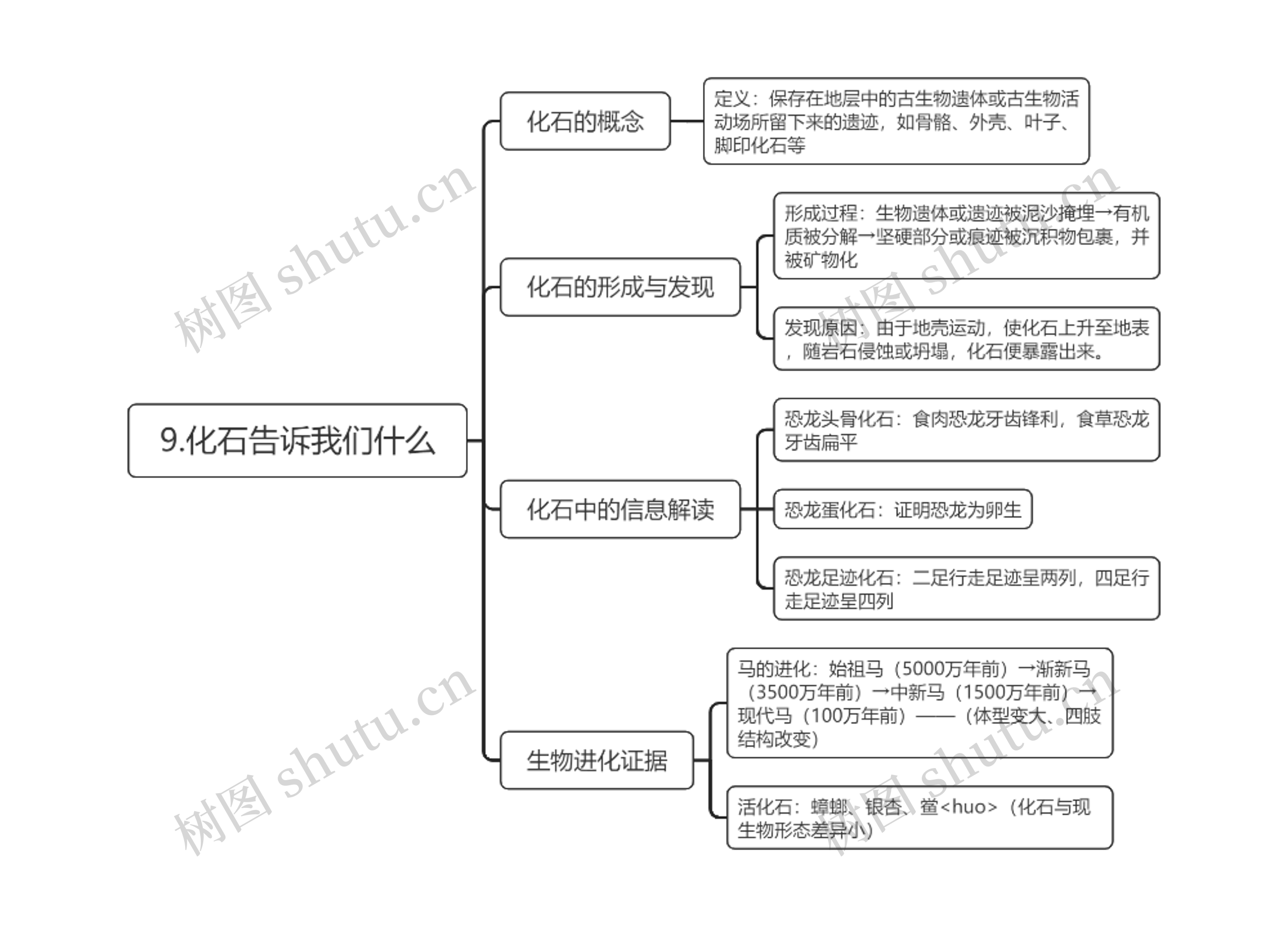 9.化石告诉我们什么