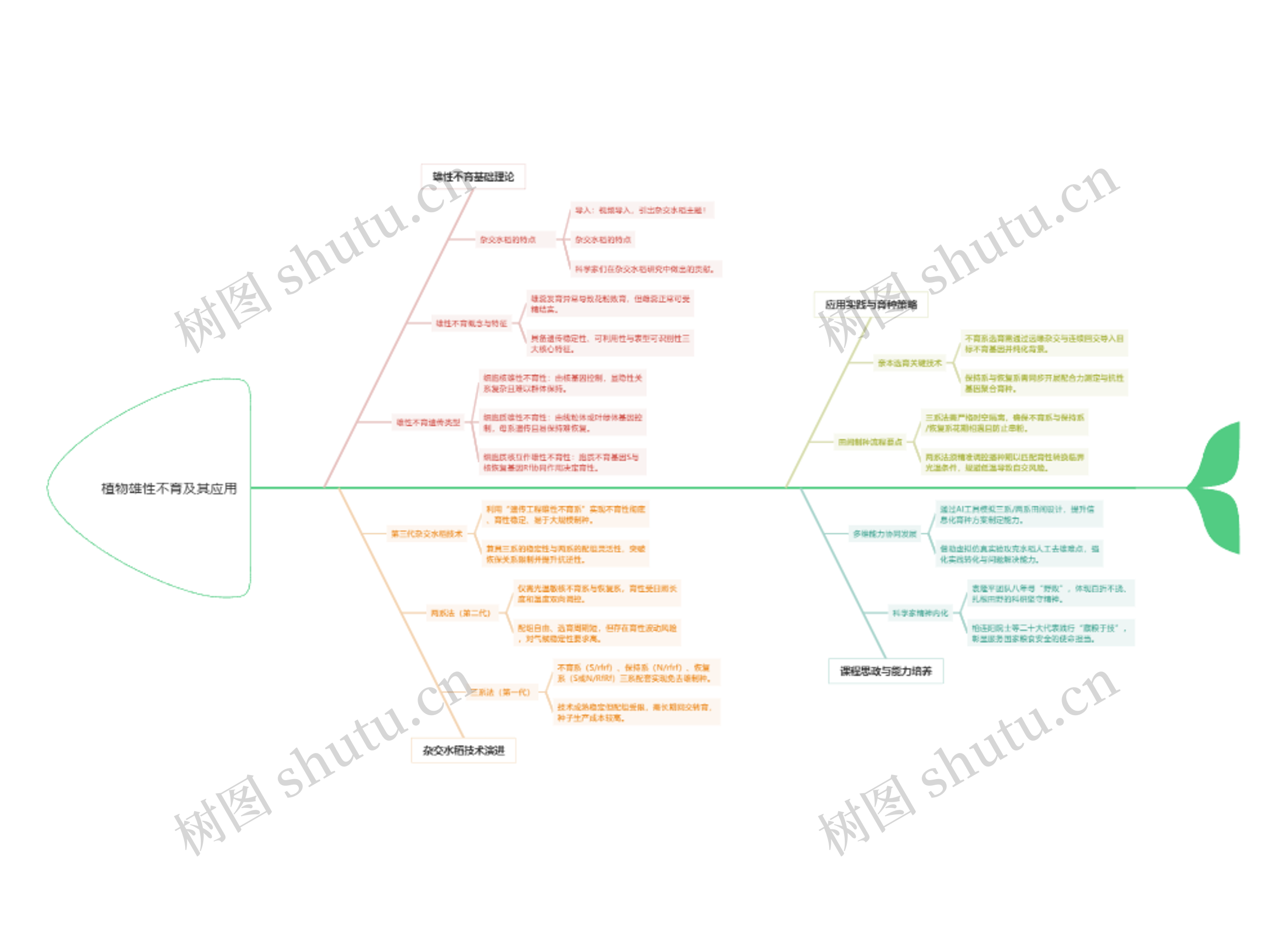 植物雄性不育及其应用
