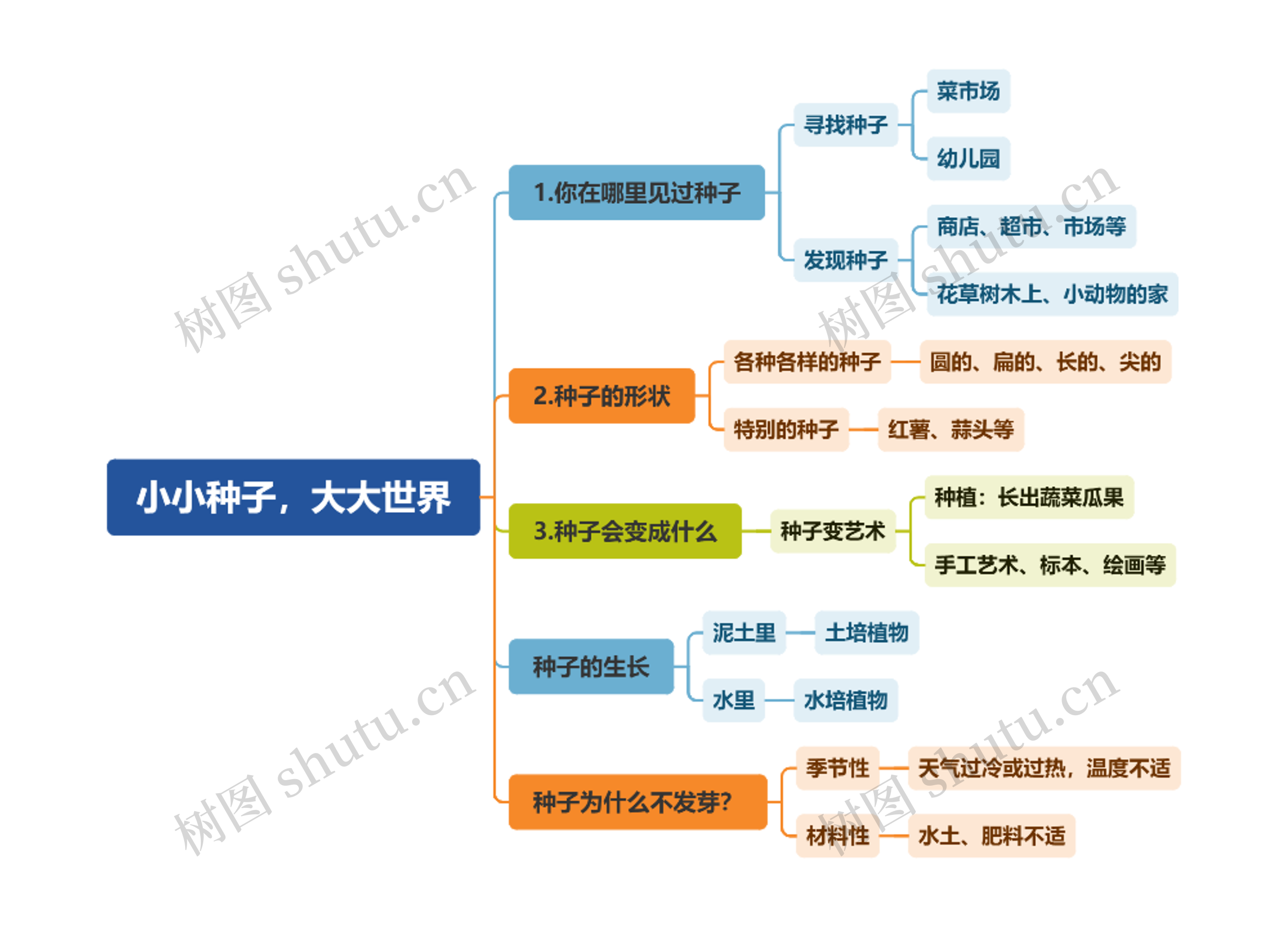 小小种子，大大世界