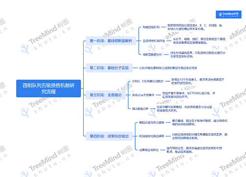 房颤相关性心肌病机制研究