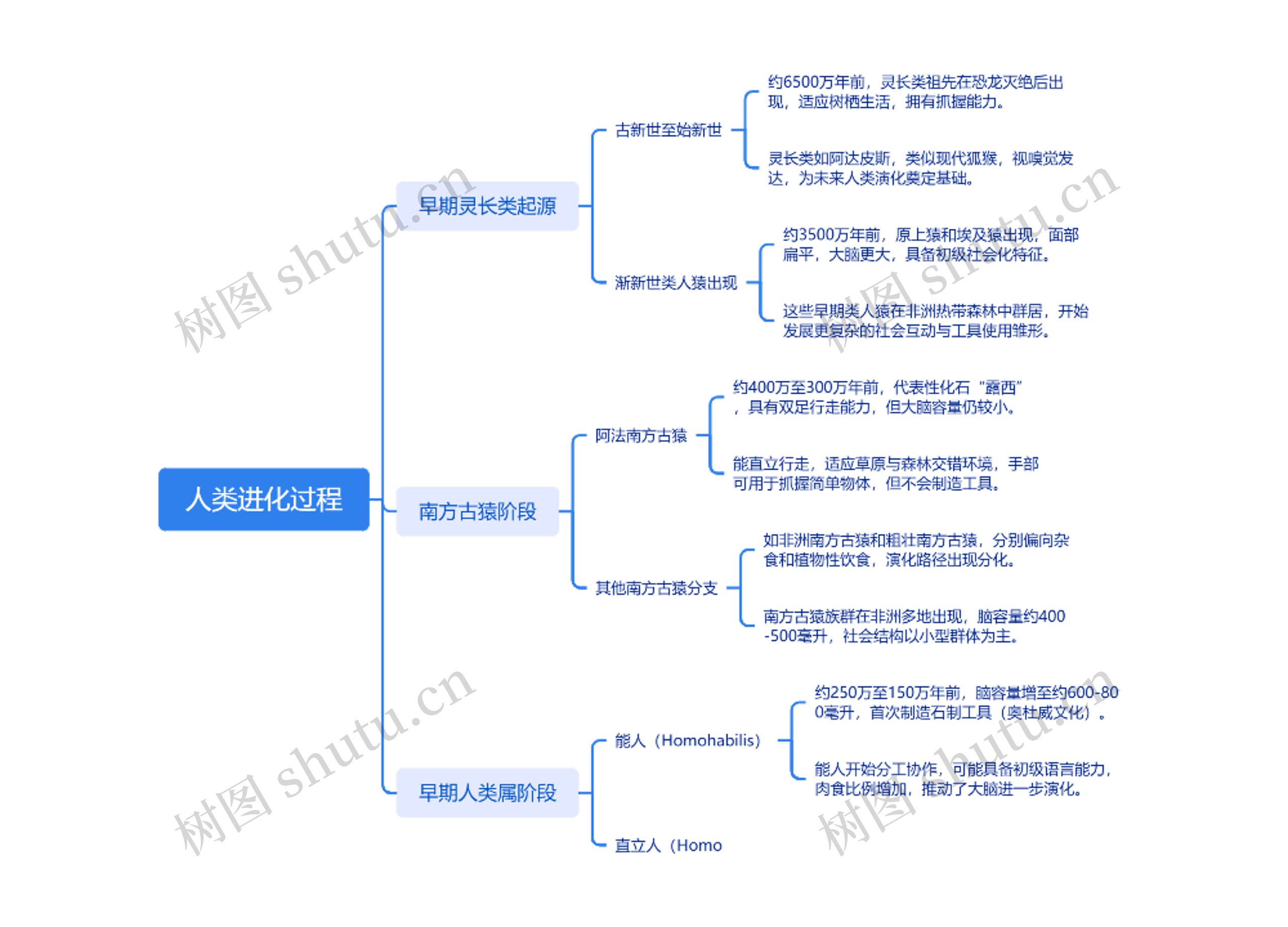 人类进化过程