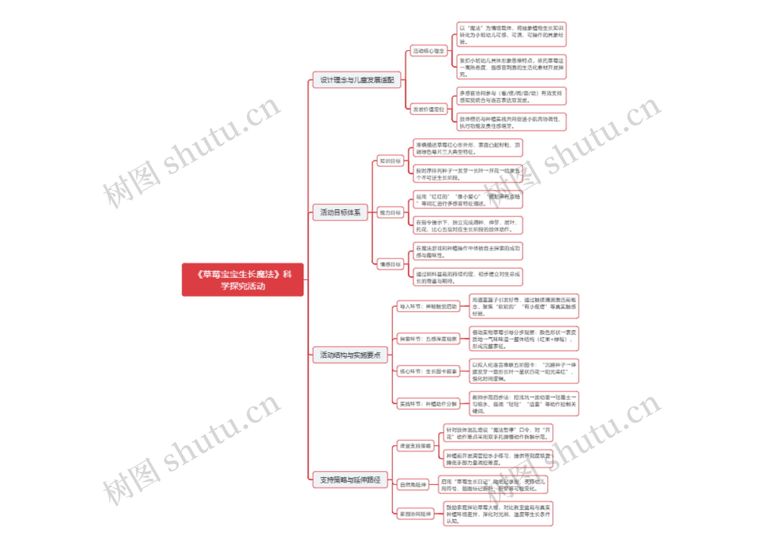 《草莓宝宝生长魔法》科学探究活动